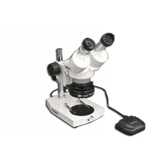 EMT-1 + MA502 + P + MA515 + MA961D/40 (Daylight) Microscope Configuration