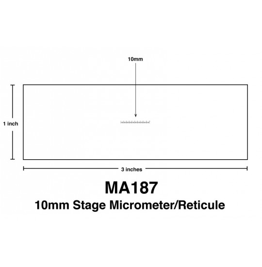 MA187 10mm divided into 100 units 0.1mm Glass Stage Micrometer