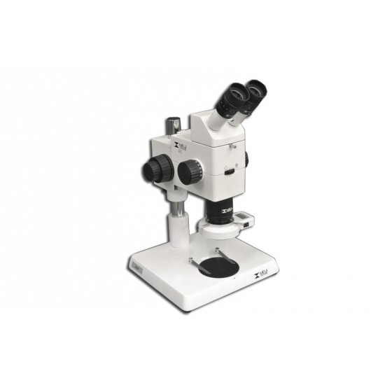 MA748 + MA730 (qty#2) + RZ-B + MA742 + RZ-P + MA308 + MA962 Microscope Configuration