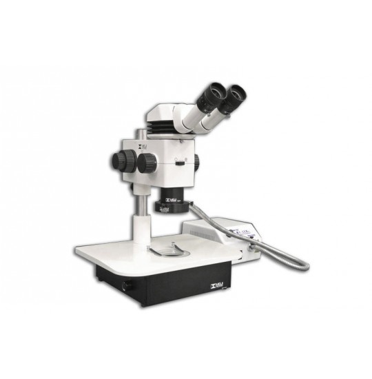MA749 + MA730 (qty#2) + RZ-B + MA742 + RZBD/LED + FL-5000-US-RL Microscope Configuration