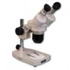 EMT-2 + MA502 + PL Microscope Configuration
