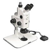 MA748 + MA751 + MA730 (qty#2) + RZ-B + MA742 + RZ-FW + MA961W/40 (Warm White) Microscope Configuration