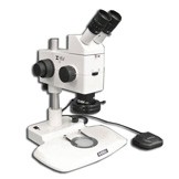 MA748 + MA730 (qty#2) + RZ-B + MA742 + RZT/LED + MA961W/40 (Warm White) Microscope Configuration