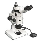 MA749 + MA751 + MA730 (qty#2) + RZ-B + MA742 + RZ-P + MA961D/40 (Daylight) Microscope Configuration