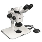 MA749 + MA730 (qty#2) + RZ-B + MA742 + RZ-FW + MA961D/40 (Daylight) Microscope Configuration