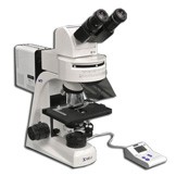 MT6200ECW Ergonomic Tilting Binocular 10° to 50° degrees Epi-Fluorescence Biological  Microscope with LED Light Source