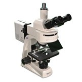 MT6300CW Trinocular Epi-Fluorescence Biological Microscope with LED Light Source
