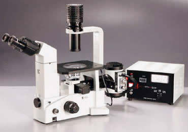 tc5000